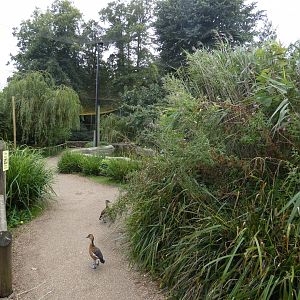 View inside the Main aviary