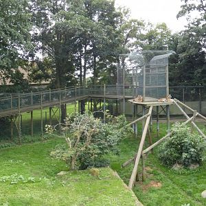 Sumatran tiger enclosure panorama