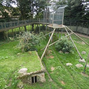 Sumatran tiger enclosure