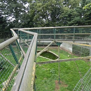 Sumatran tiger viewing area
