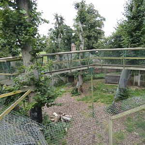 Second Sumatran tiger enclosure