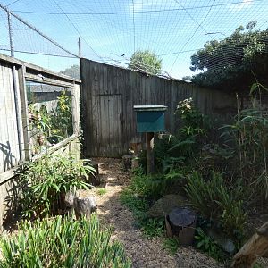 European wild cat enclosure