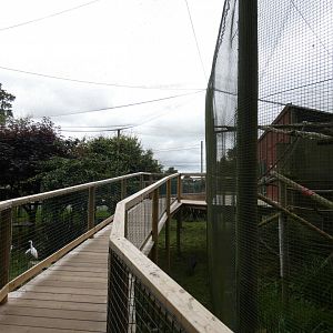 Walk-through aviary