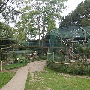 Amur leopard enclosures