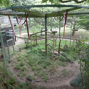 Crab-eating macaque enclosure