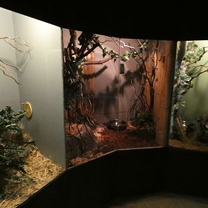 Reptile exhibits