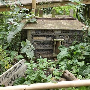 Bug hotel of Thrigby Hall