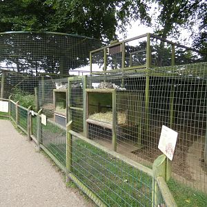Part of Snow leopard enclosures