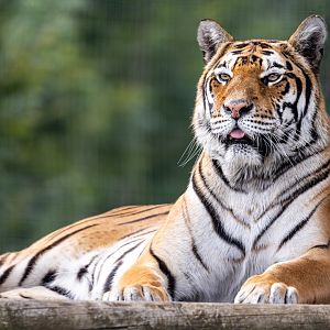 Julia  / Woodside Wildlife Park / 11-8-21