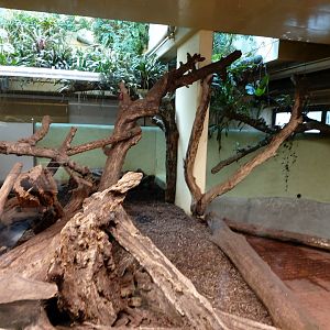 Capybara and South American tapir indoor enclosure - Exotarium