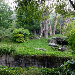 Andean bear enclosure