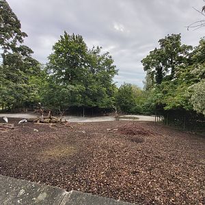 Indian plain (Blackbuck, niglai, Myanmar thamin, bar-headed goose and white-naped crane)