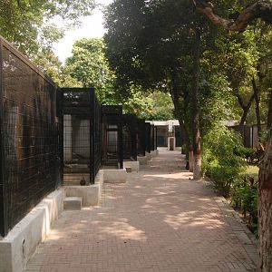 Aviaries - Lahore zoo 8/9/2021