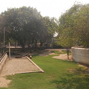 Former elephant paddock - Lahore zoo 8/9/2021