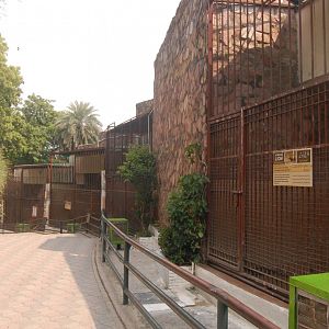 Tiger house holding pens - Lahore zoo 8/9/2021