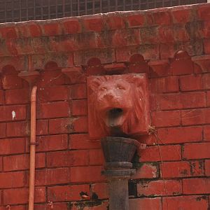 Lion house details - Lahore zoo 8/9/2021