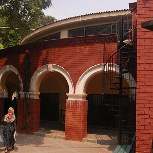 Lion house - Lahore zoo 8/9/2021