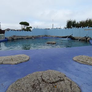 Common seal enclosure