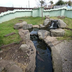 Asian short-clawed otter enclosure