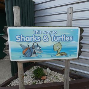 Shark and Turtle exhibit entrance