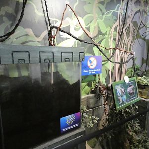 Leaf-cutter ant enclosure