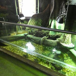 Bosc monitor and slider enclosure