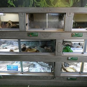 Rainforest basecamp display