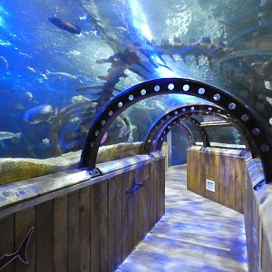Underwater viewing tunnel