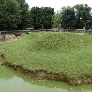 Brazilian tapir and Capybara enclosure