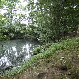 North American river otter enclosure