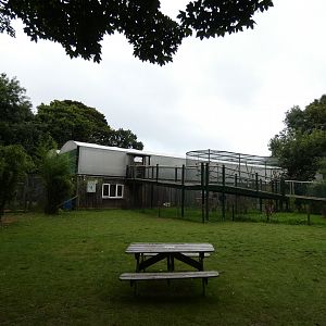 View of Tropical house