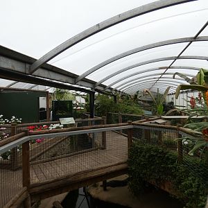 View inside tropical house