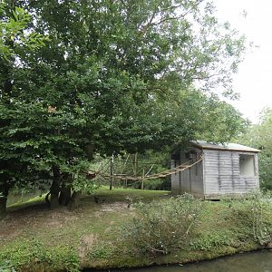 Squirrel monkey and marmoset island