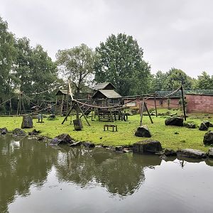 Capuchin Monkey Island