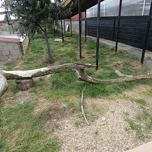 Porcupine enclosure (Johnson's of Old Hurst)