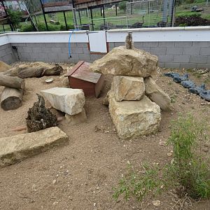 Meerkat enclosure (Johnson's of Old Hurst)
