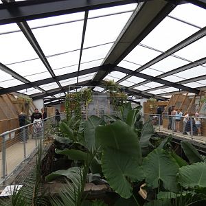 Tropical house (Johnson's of Old Hurst)