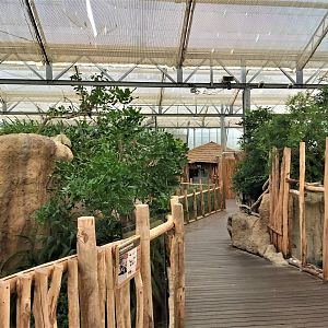 View in Crocodile River