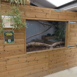 Royal python enclosure (Johnson's of Old Hurst)