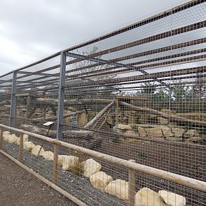 Puma enclosure (Johnson's of Old Hurst)