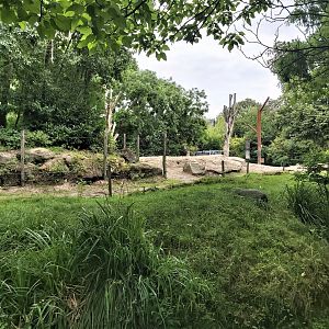 Part of the elephant enclosure.