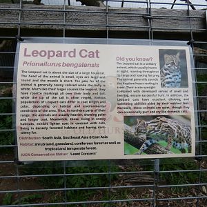 Signage style (Johnson's of Old Hurst)