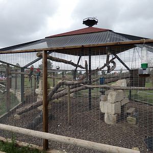 Parrot aviary (Johnson's of Old Hurst)