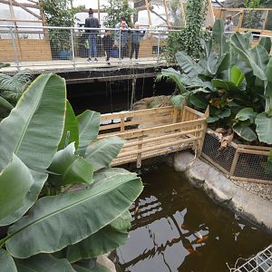 Crocodile enclosures (Johnson's of Old Hurst)