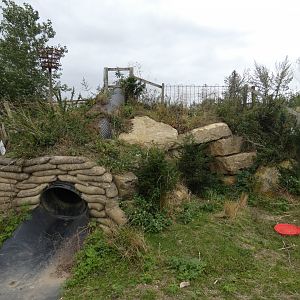 Wallaby and Mara enclosure (Johnson's of Old Hurst)