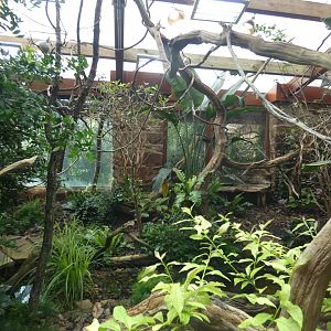 Madagascan reptile exhibit
