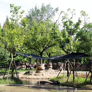 Indian Rhinoceros Exhibit