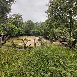Arabian oryx outdoor enclosure