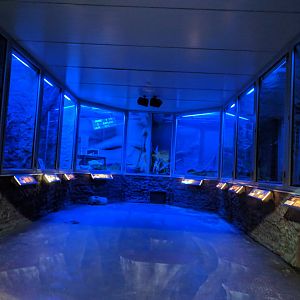 Nocturnal Hall General View