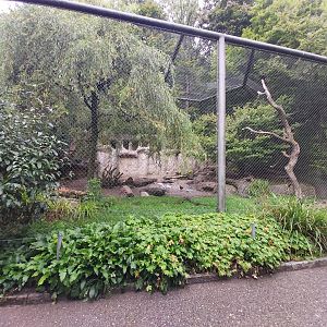 Eurasian aviary (Eurasian oystercatcher, Northern bald ibis & Eurasian spoonbill)